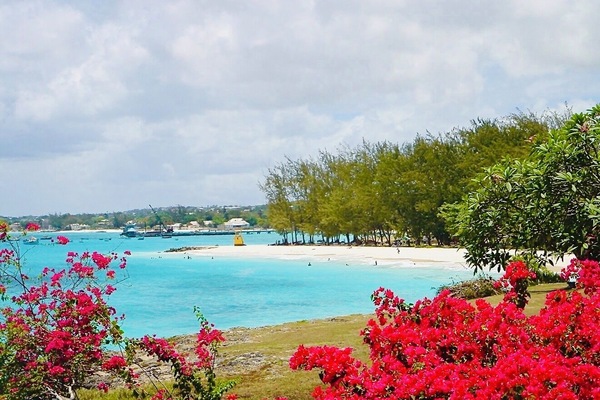 Room, 1 Bedroom | Beach