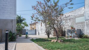 Un sendero pavimentado que conduce a un edificio con fachada blanca, rodeado de follaje y un pequeño árbol.