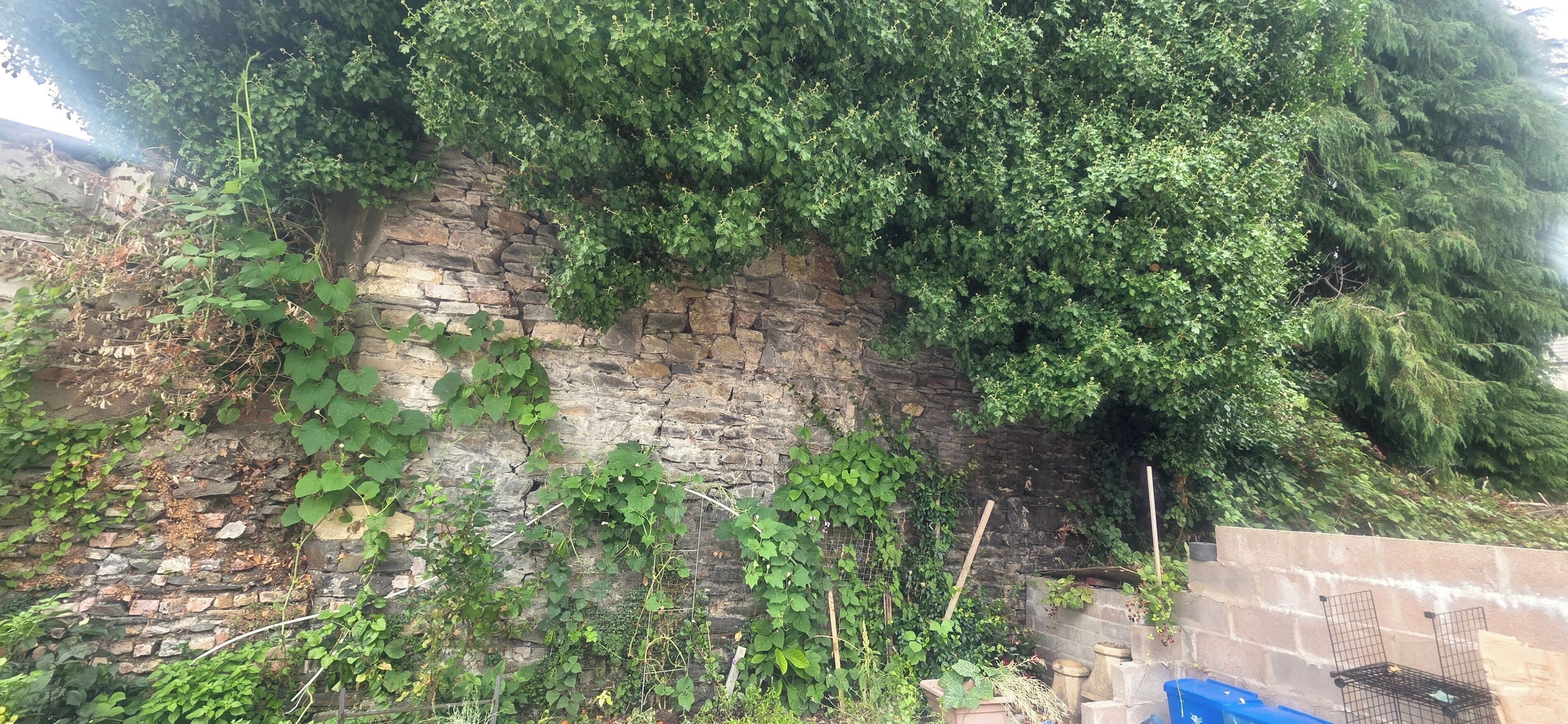A stone wall with climbing plants and a wooden fence.