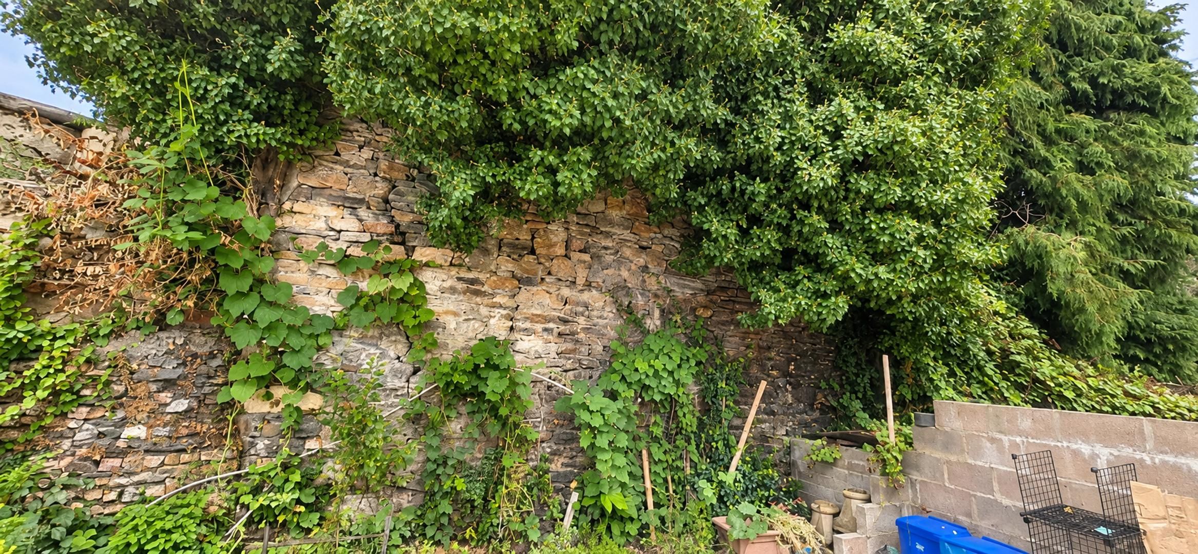 Un mur de pierres recouvert de plantes grimpantes et un conteneur bleu.