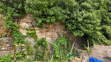 Un muro de piedra con plantas trepadoras y un contenedor azul.