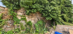 A stone wall with climbing plants and a blue container. - Cardiff 5-bed House, Sleeps 13 w/ Parking & Garden (Cardiff)