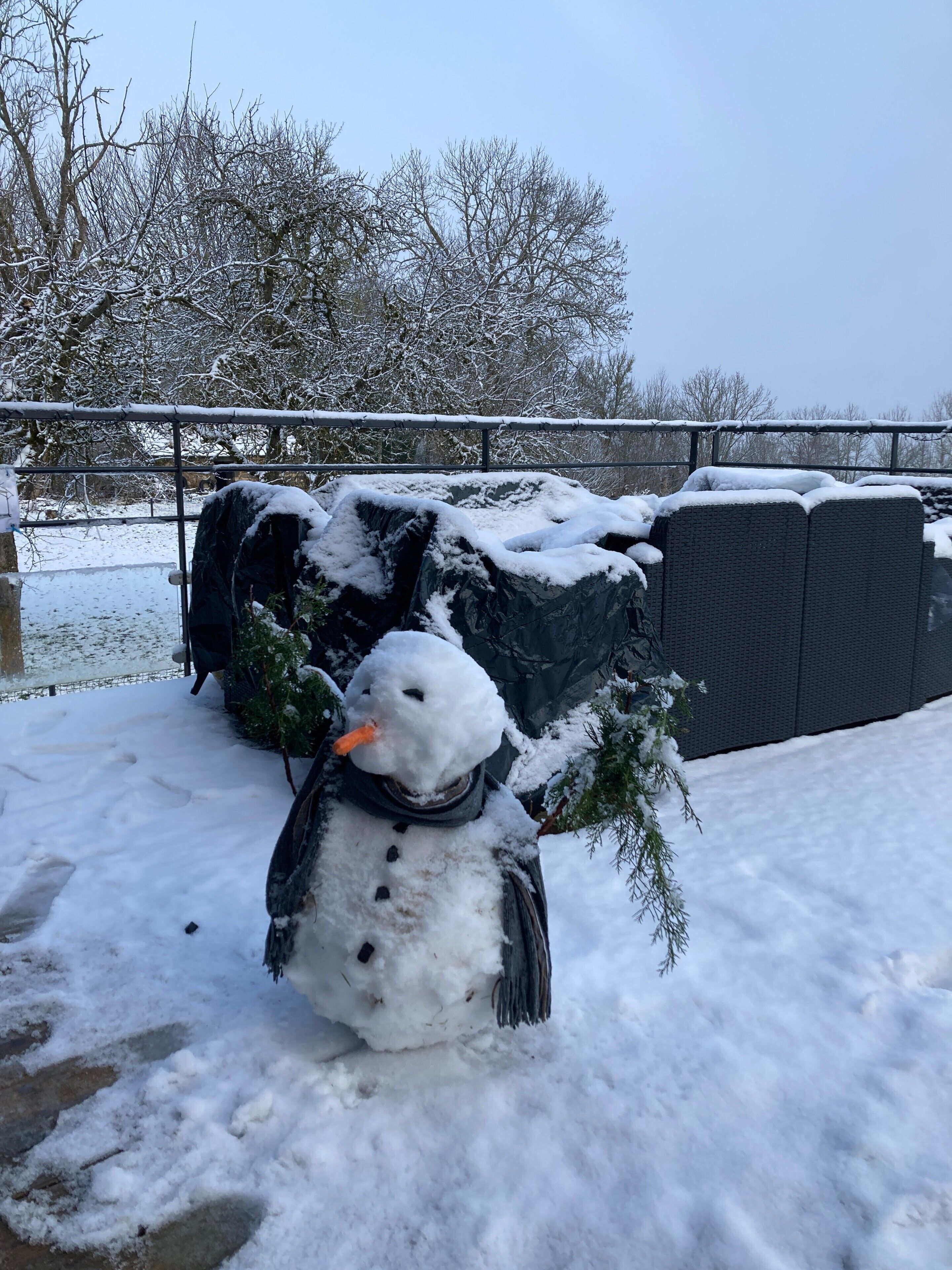 Ein Schneemann mit Karottennase und einem Ast als Hut, stehend auf verschneitem Untergrund, mit einem Metallzaun und Bäumen im Hintergrund.