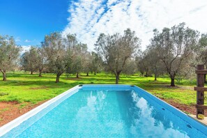 Una piscina rectangular amb vora blanca, envoltada per una zona verda amb arbres.