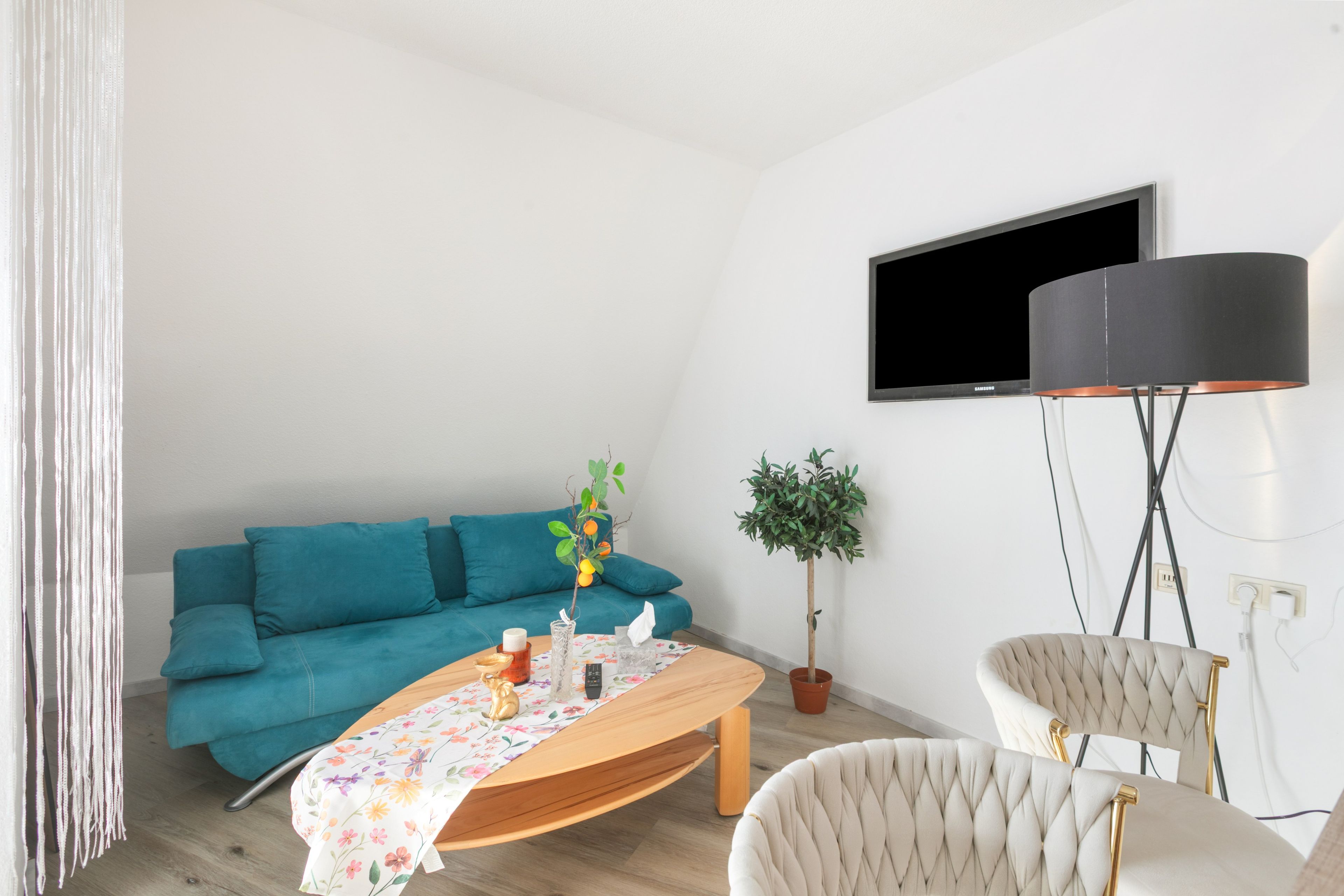 TV