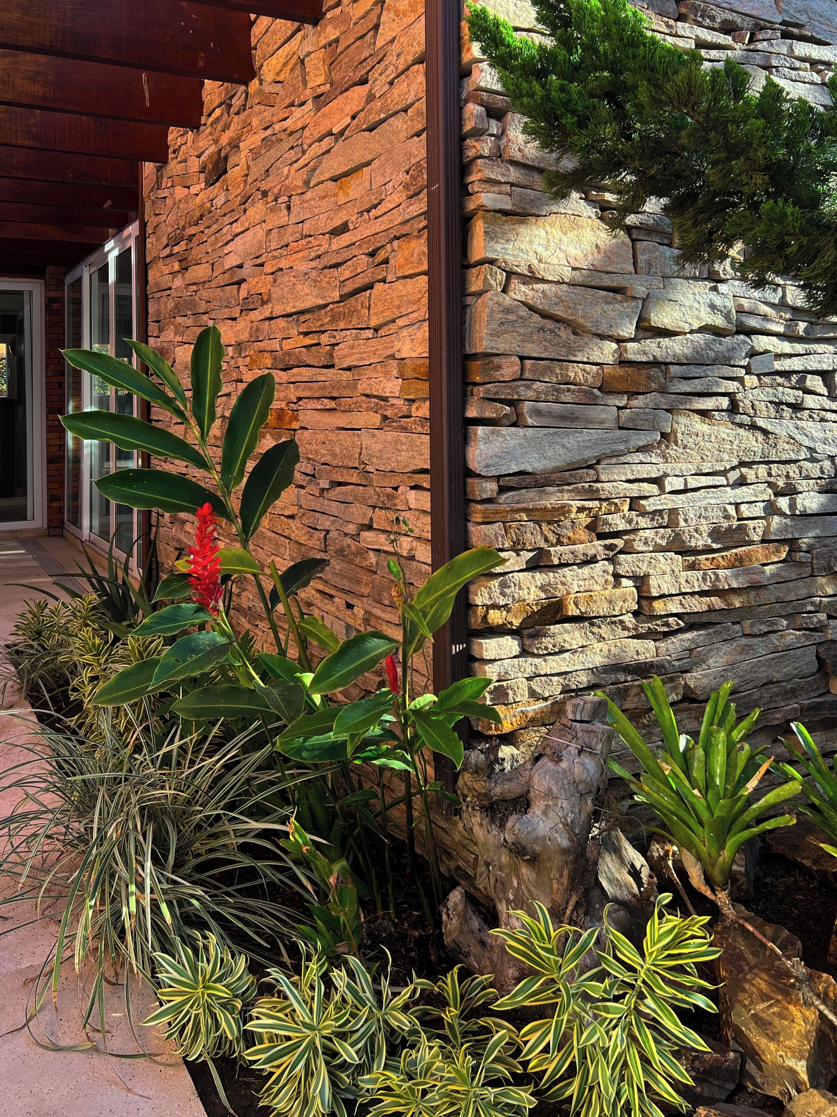 A stone wall with a variety of plants, including a red flower, and a wooden structure to the left.