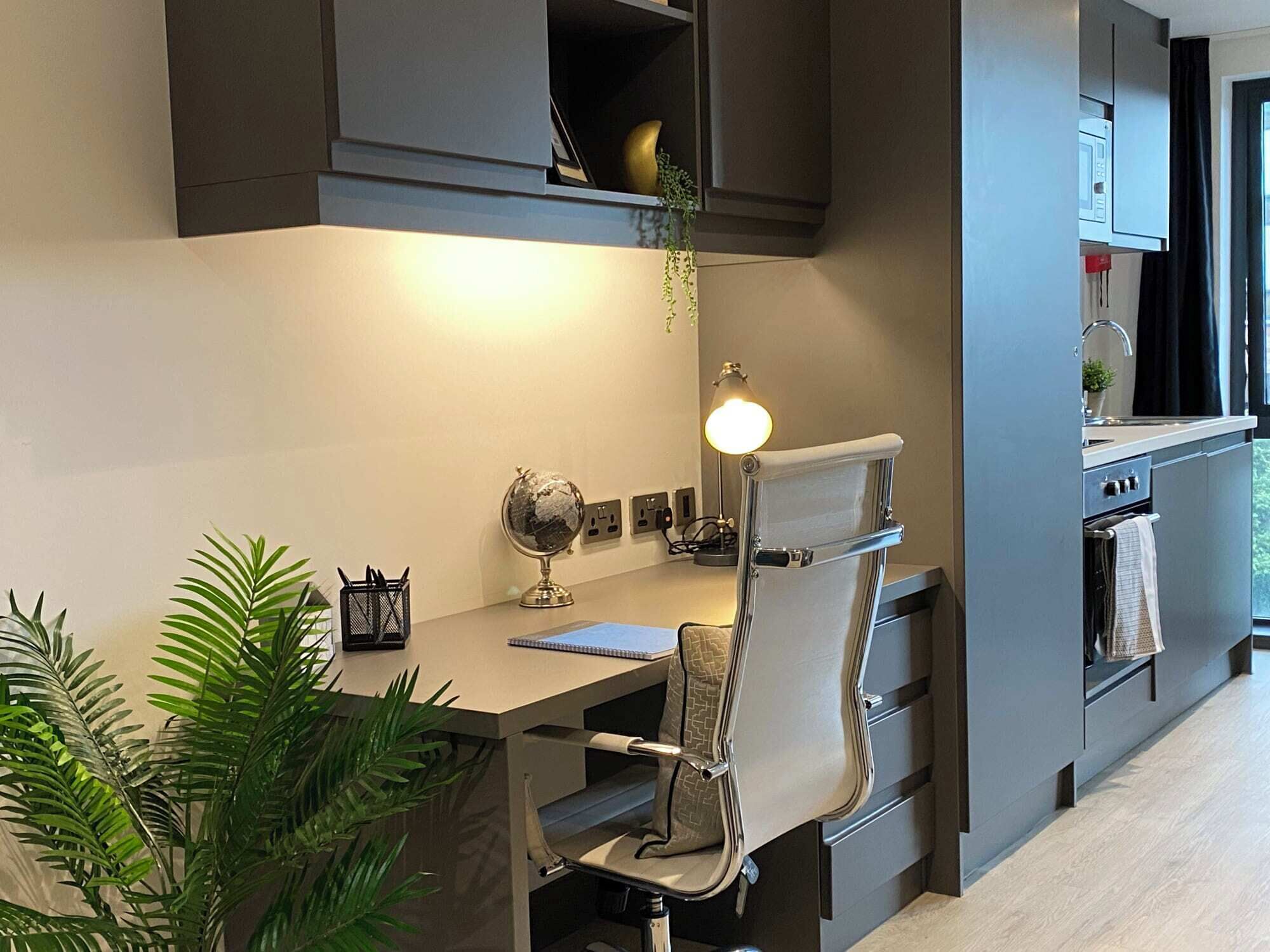 A modern kitchen with a built-in desk, a globe, and a hanging plant.