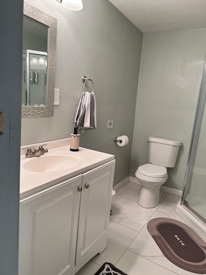A bathroom with a white sink, a toilet, and a shower area. - Cozy 1-bedroom apartment in perfect Clearwater with AC (Clearwater)