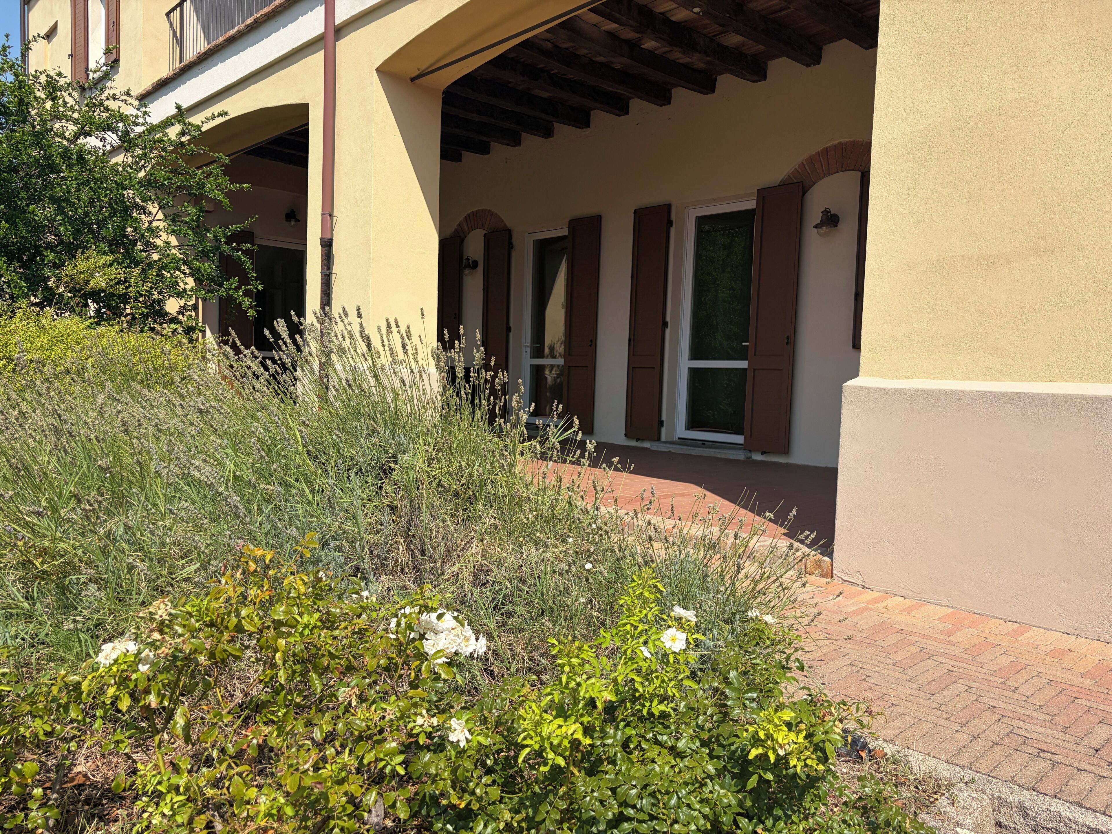 Ein Gebäude mit überdachter Terrasse, einem Pflasterweg und verschiedenen Pflanzen.