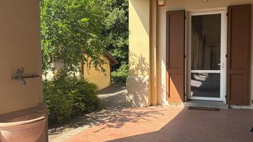 Ein gepflasterter Weg führt zu einem Hauseingang mit Tür und Fenster.