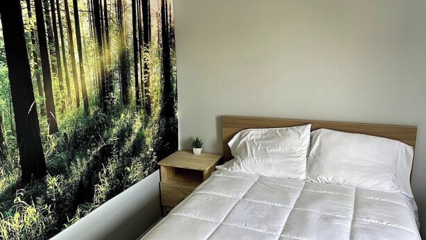 A bedroom with a bed, a nightstand, a window with a forest view, and a wall with a forest mural. - Elk - Private Bedroom near Downtown and 17th Av (Calgary)