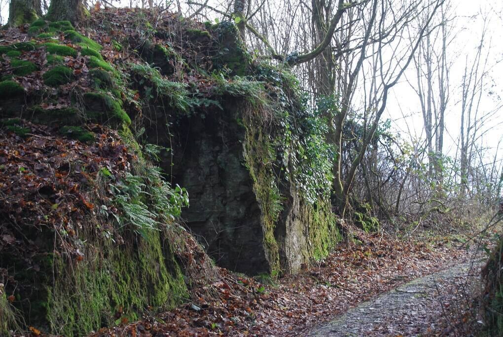 A narrow, leaf-covered path beside a moss-covered rock formation.