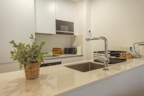 Eine moderne Küche mit Spüle aus Edelstahl, einer Mikrowelle und einem Blumentopf.