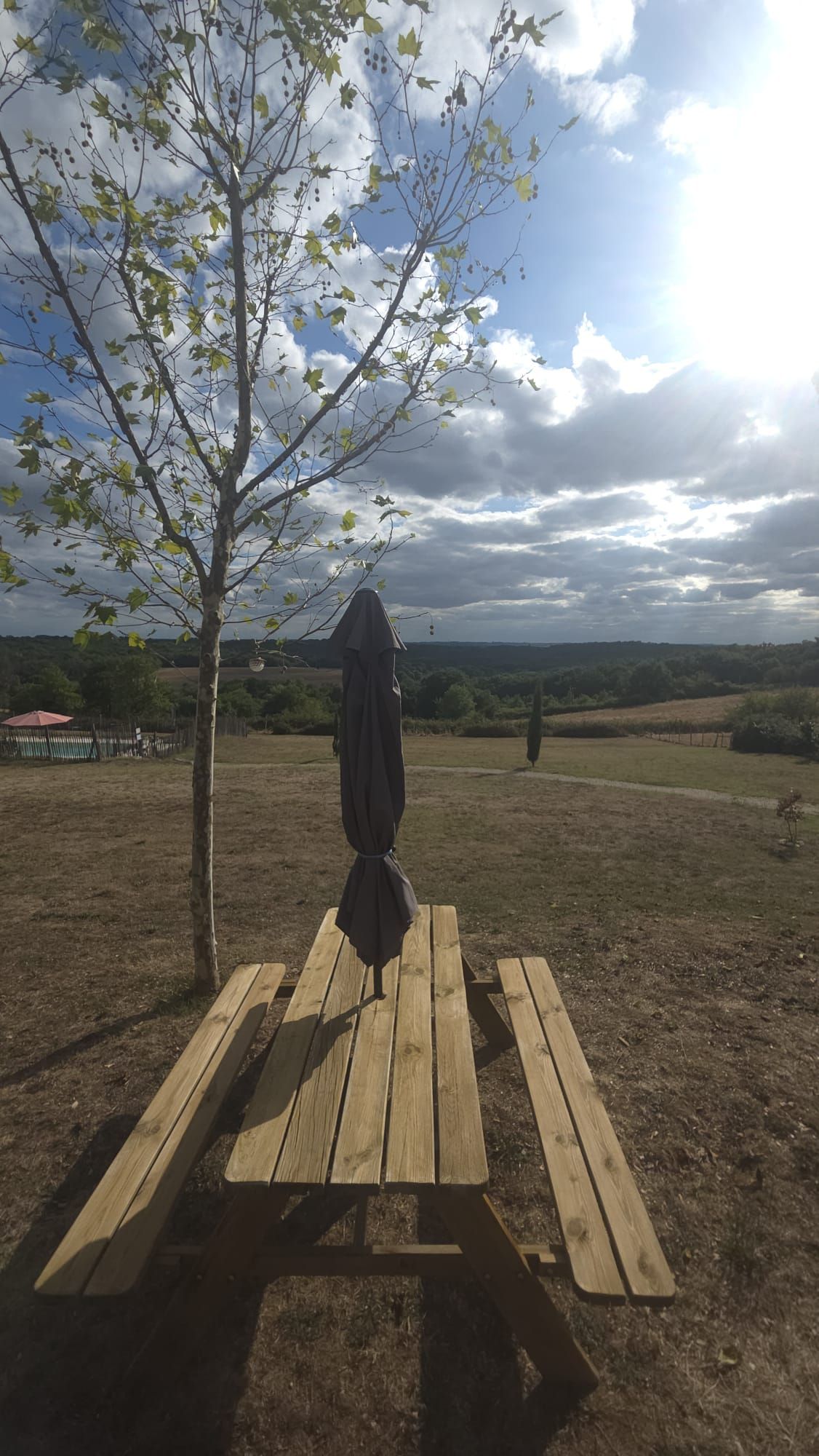 A picnic table with a covered umbrella in a grassy field with trees and a cloudy sky.