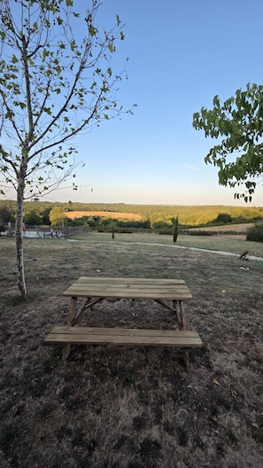 A picnic table in a grassy field with trees and a distant view of a hilly landscape.