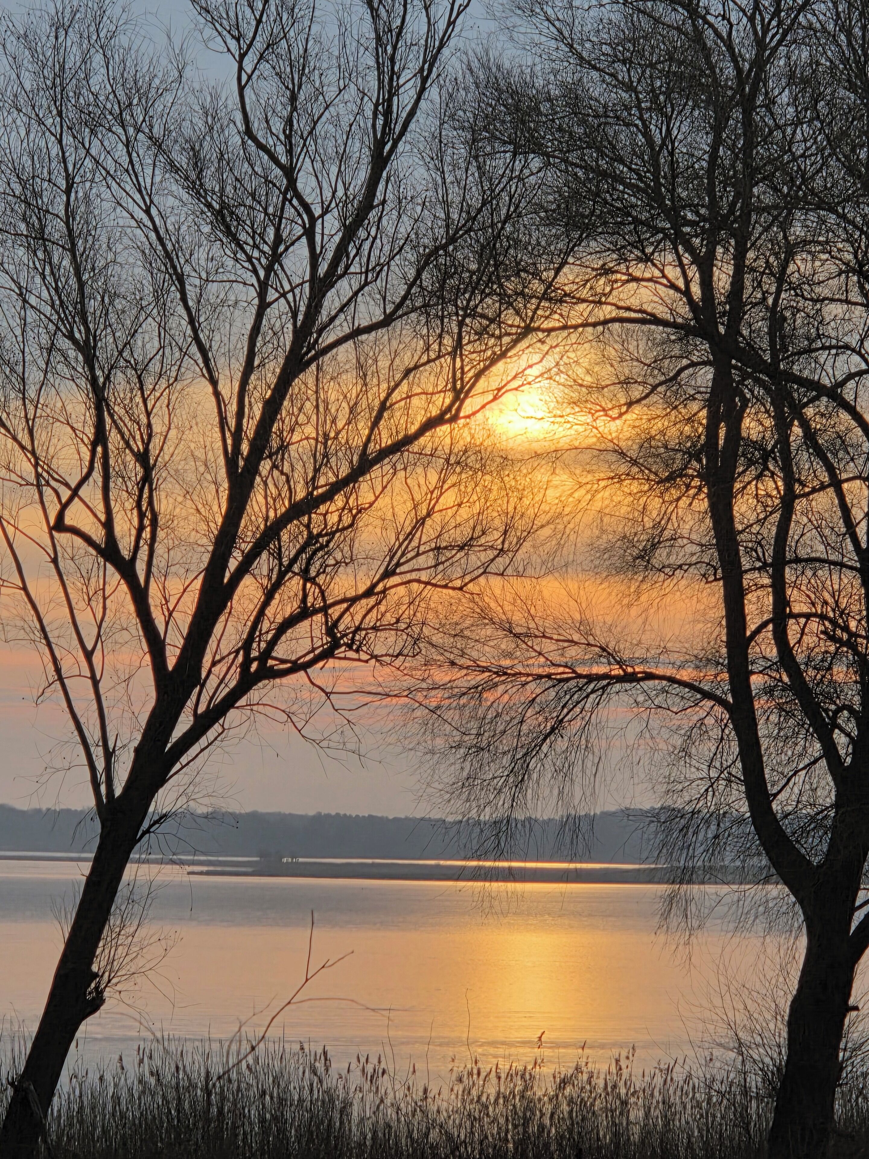 Un paysage naturel avec des arbres qui encadrent une étendue d’eau au coucher du soleil.