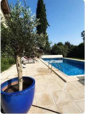 A swimming pool area with a tiled deck, a potted tree, and lounge chairs. - Vrbo Property (Plaisance)