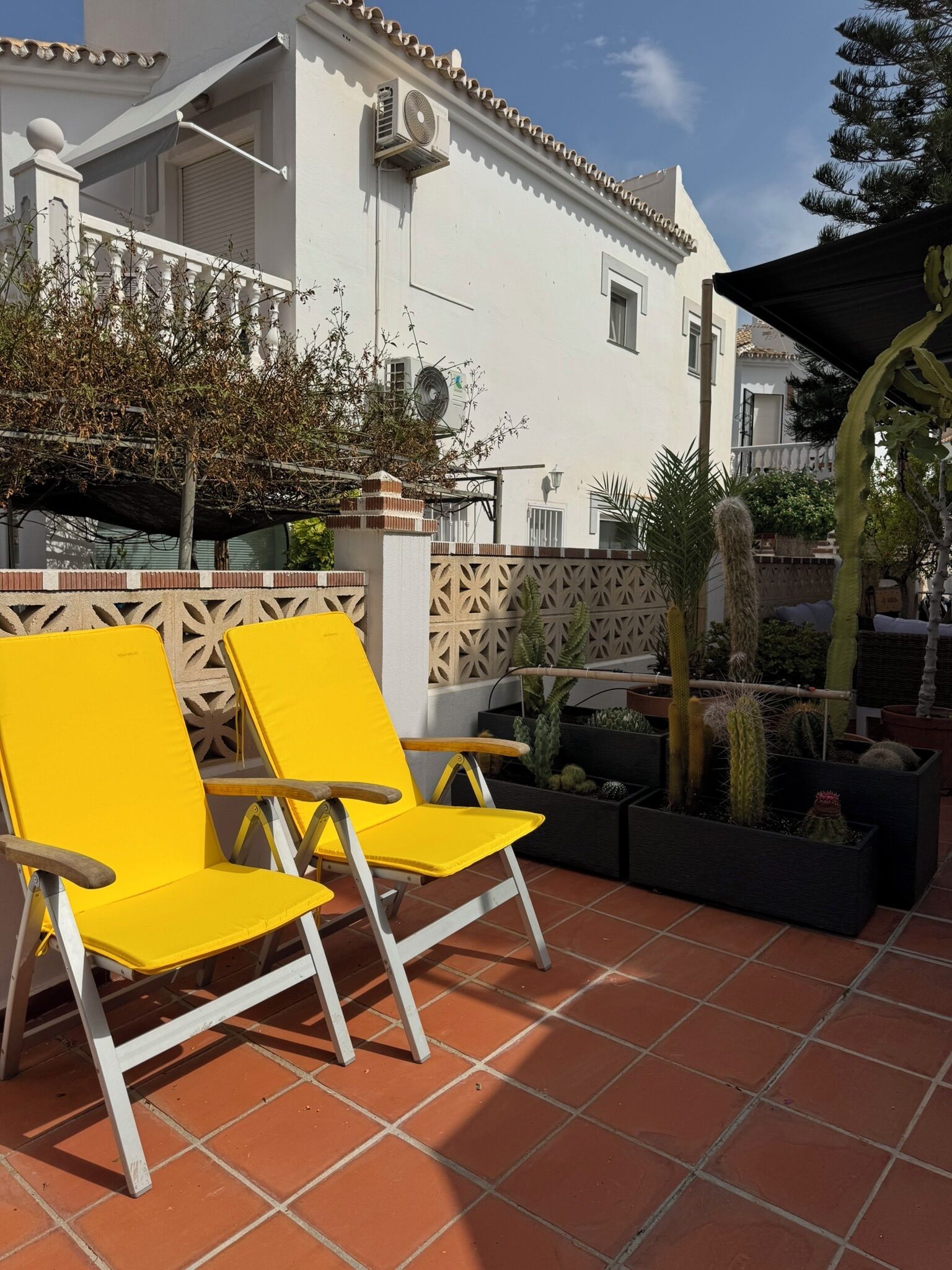 Un patio con dos sillas amarillas, un edificio blanco de techo con tejas y diversos cactus y plantas.