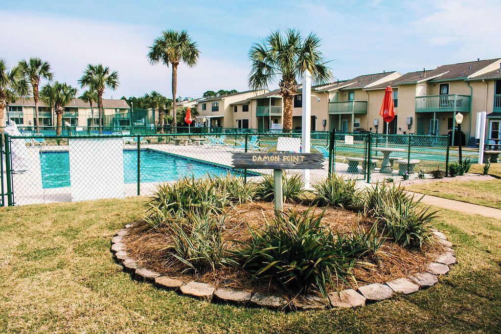 A pool area with a sign reading 'DAMON POINT,' surrounded by palm trees and a fence.