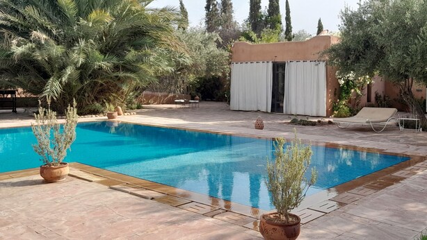 A rectangular swimming pool with a tiled deck, surrounded by potted plants and a lounge chair. - The Perfect Vacation, 20 Minutes from the Airport in the Marrakech Countryside, Sleeps 12 (Marrakech)