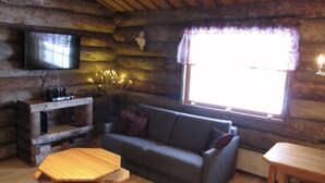 Televisio, takka, DVD-soitin