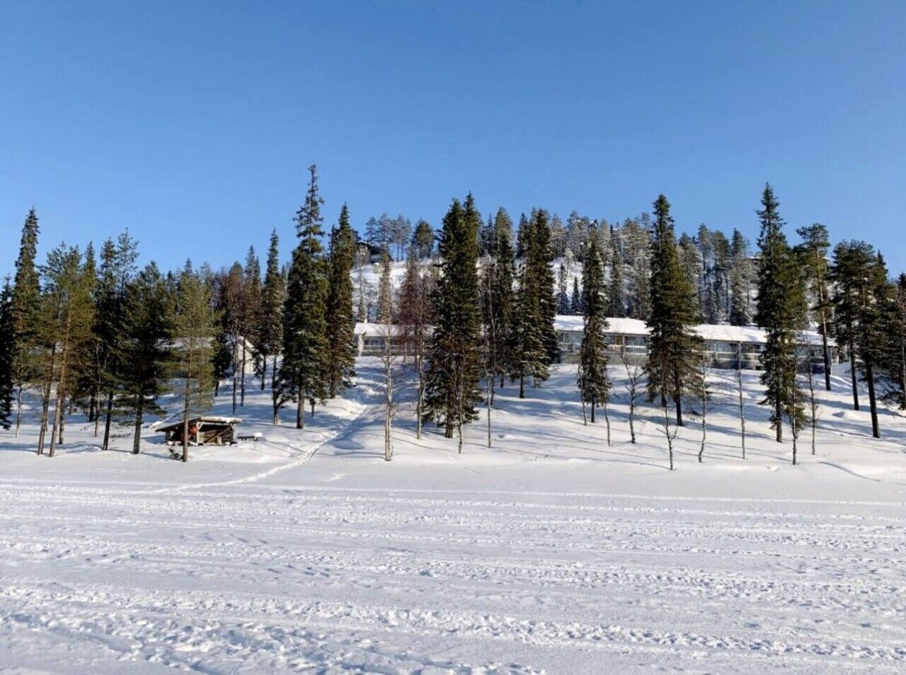 Lumipeitteinen maisema, jossa on mökki ja puita.