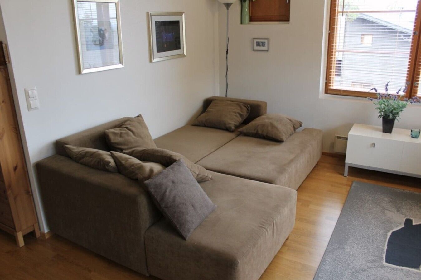 A room with a sofa bed, a small white side table with a plant, and a window with blinds.
