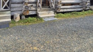 Una cabaña de troncos con un porche, escalones de madera y una ventana.