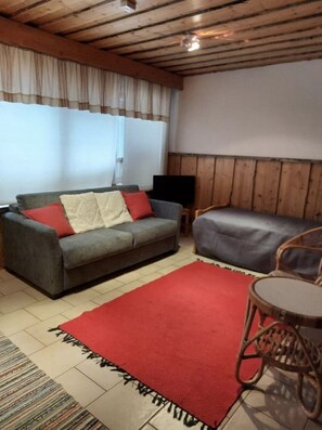 Ein Zimmer mit grauem Sofa, rotem Teppich, Holzboden und einem Fernseher auf einem Schrank.