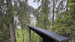 Et overdækket udendørs område med grusgulv, en trækonstruktion med skråt tag og en bænk.