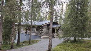 En hytte med træbeklædning og en grusvej, der fører hen til den, omgivet af træer.