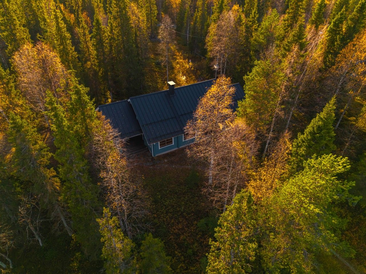 Talo, jonka ympärillä on tiheä metsä.