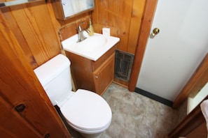 Bathroom - Classic Cabin - Pool Table - BBQ (Springville)
