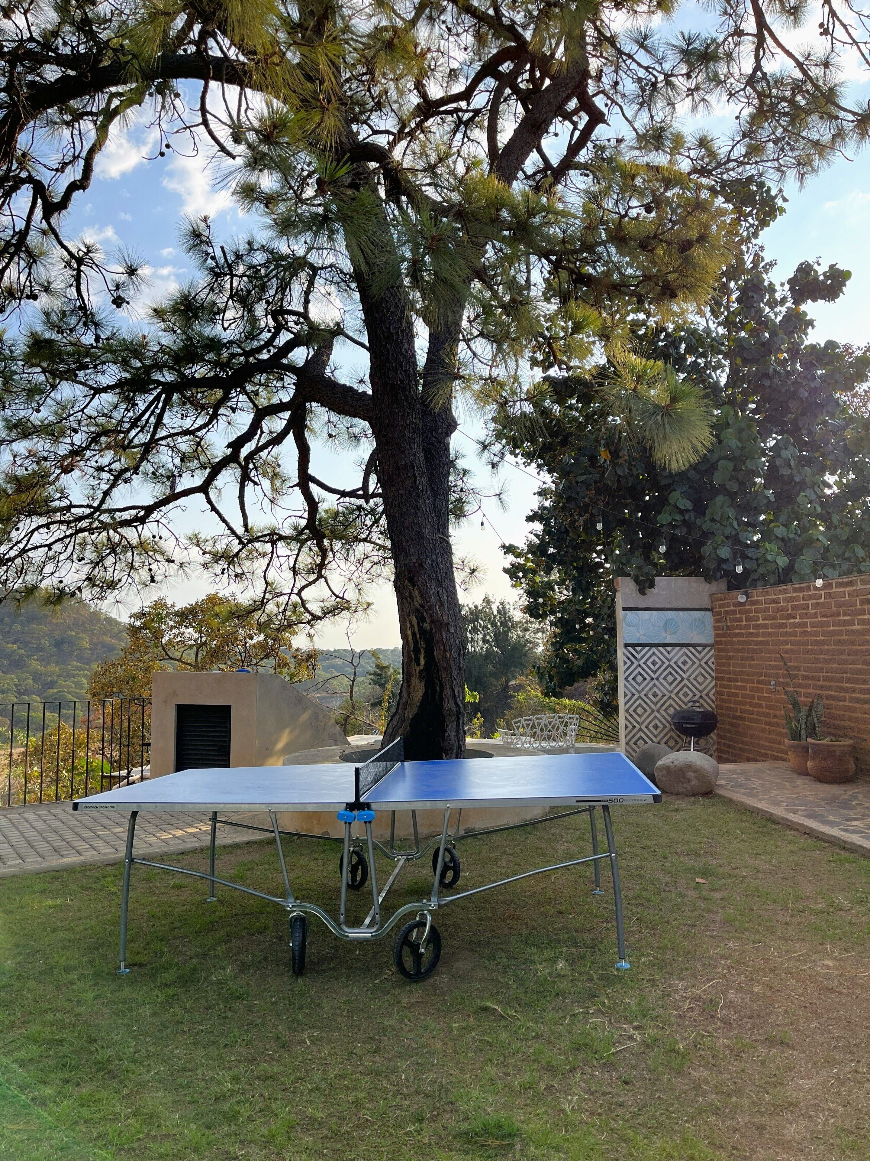 Ein Tischtennis-Tisch im Freien, im Hintergrund ein Baum.
