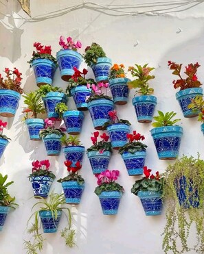 En vägg prydd med ett stort antal hängande blomkrukor i blått och vitt, som innehåller en mängd olika blommande växter och grönt.