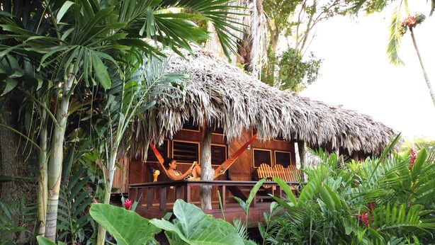 A thatched-roof hut with a porch, surrounded by lush tropical vegetation.