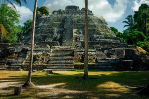 Ancient stone ruins with a staircase leading up to a large structure, surrounded by lush greenery and palm trees.
