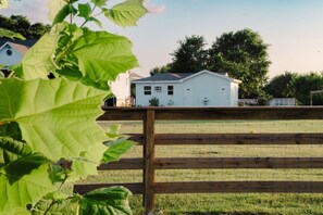 A white house with a fenced yard, surrounded by greenery.