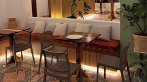 A dining area with a wooden table and chairs, a bench, and a potted plant.
