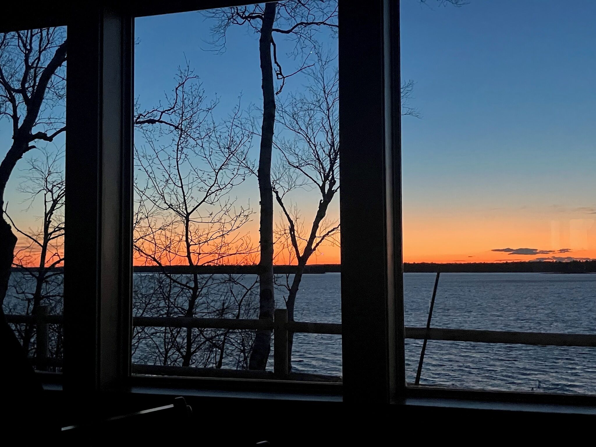 A view through a window with bare trees and a sunset over a body of water.