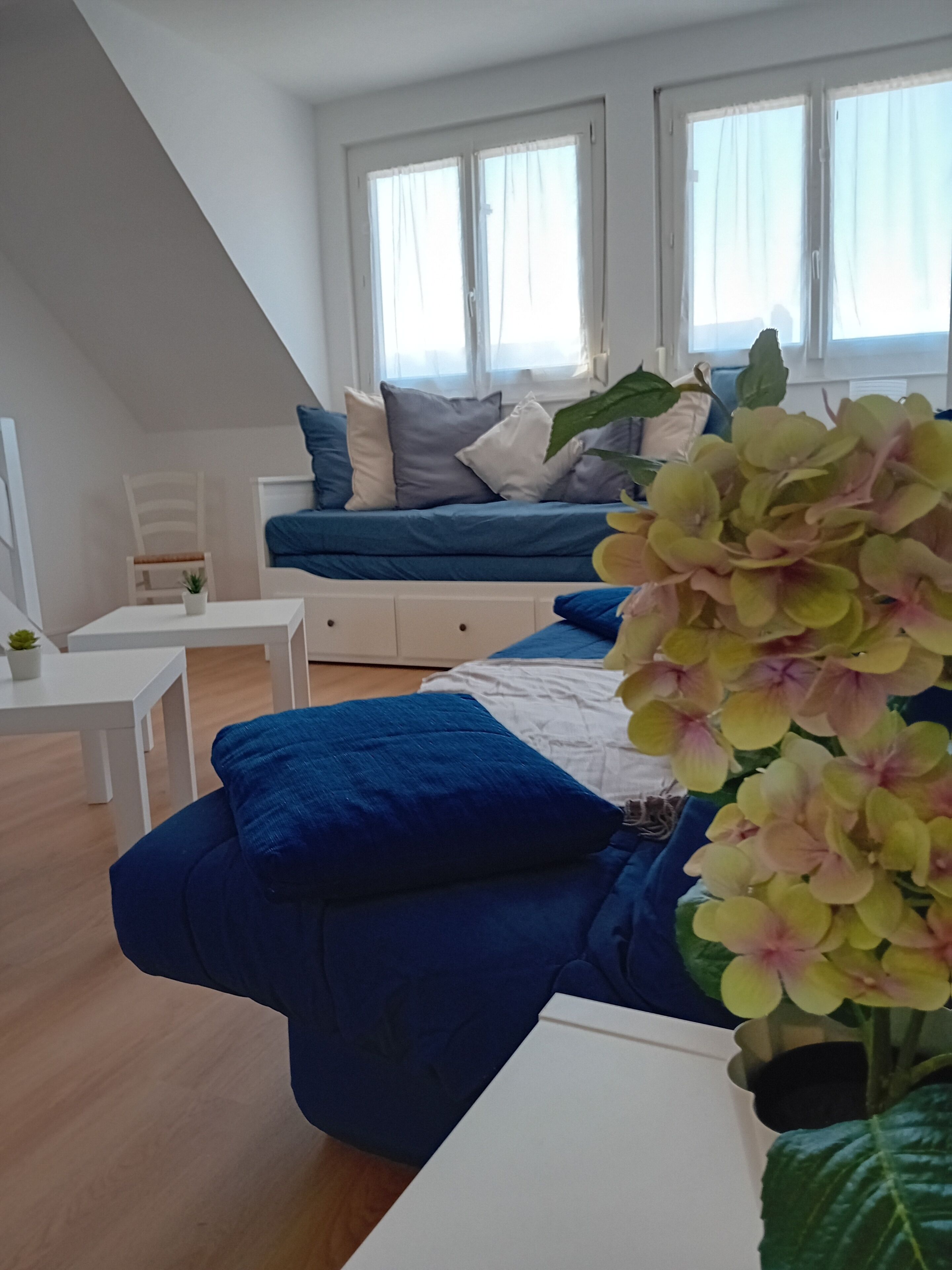 Un salon moderne avec un canapé bleu, une table basse blanche et une plante en pot.