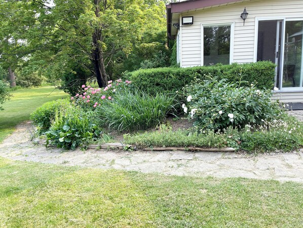 A residential property with a well-maintained garden, a pathway leading to the house, and a large window on the right side.