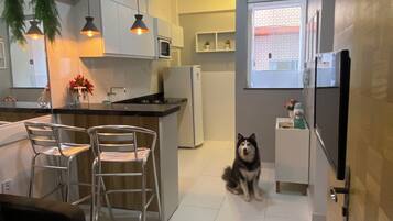 A modern kitchen with white cabinets, a central island, bar stools, and a dog sitting in the middle.