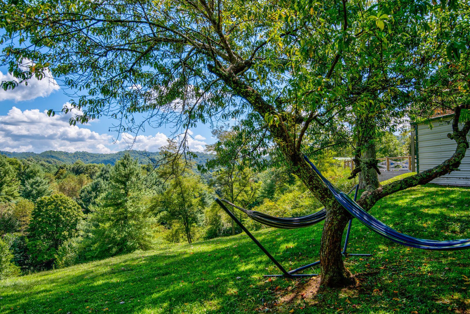 A hammock tied between two trees in a grassy area with a view of a mountain range and a building in the background.