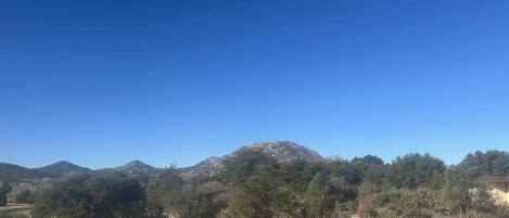 A mountainous landscape with trees and a clear sky.