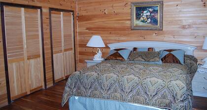 Cozy rustic cottage on Nine miles river, viw of Huron Lake sunset. Pet friendly