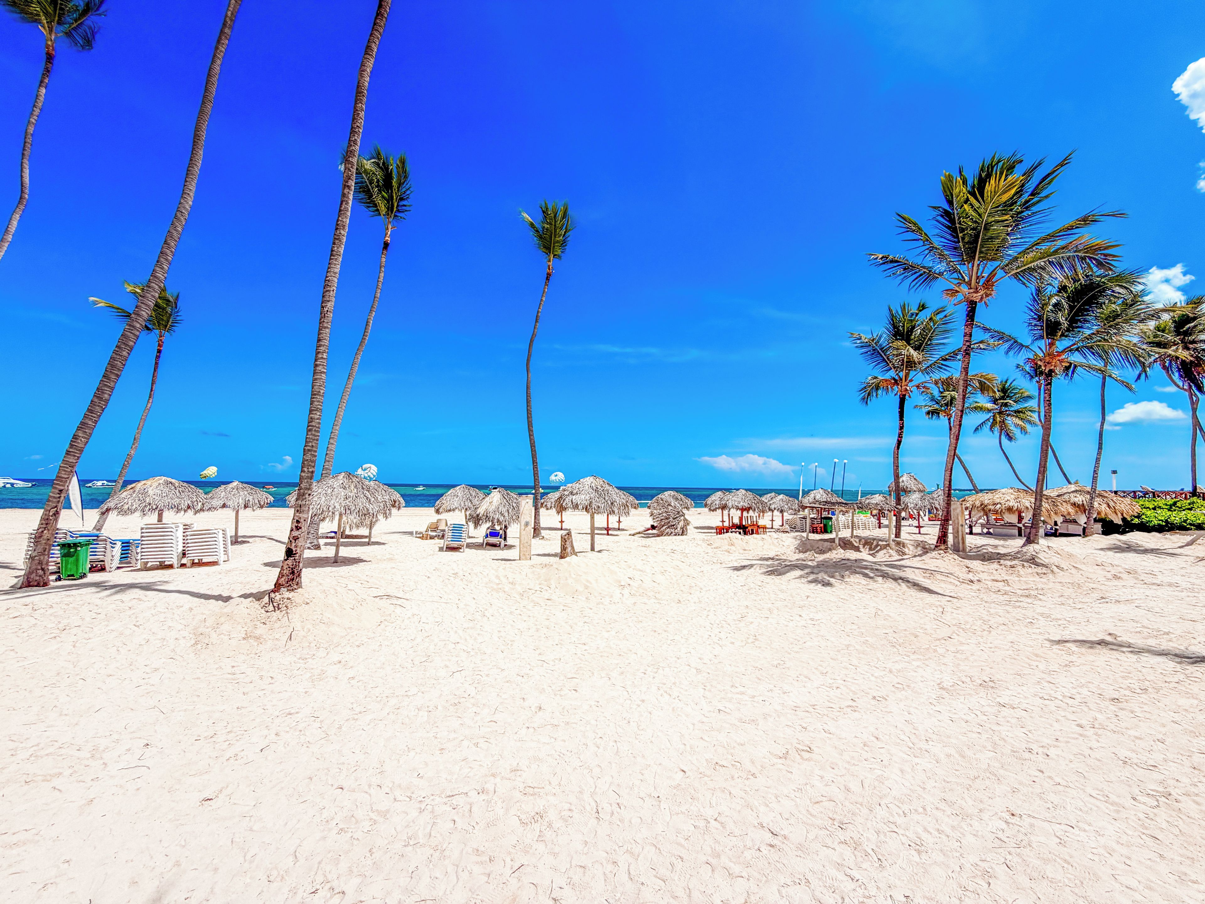 A beach with palm trees, thatched umbrellas, and sun loungers.