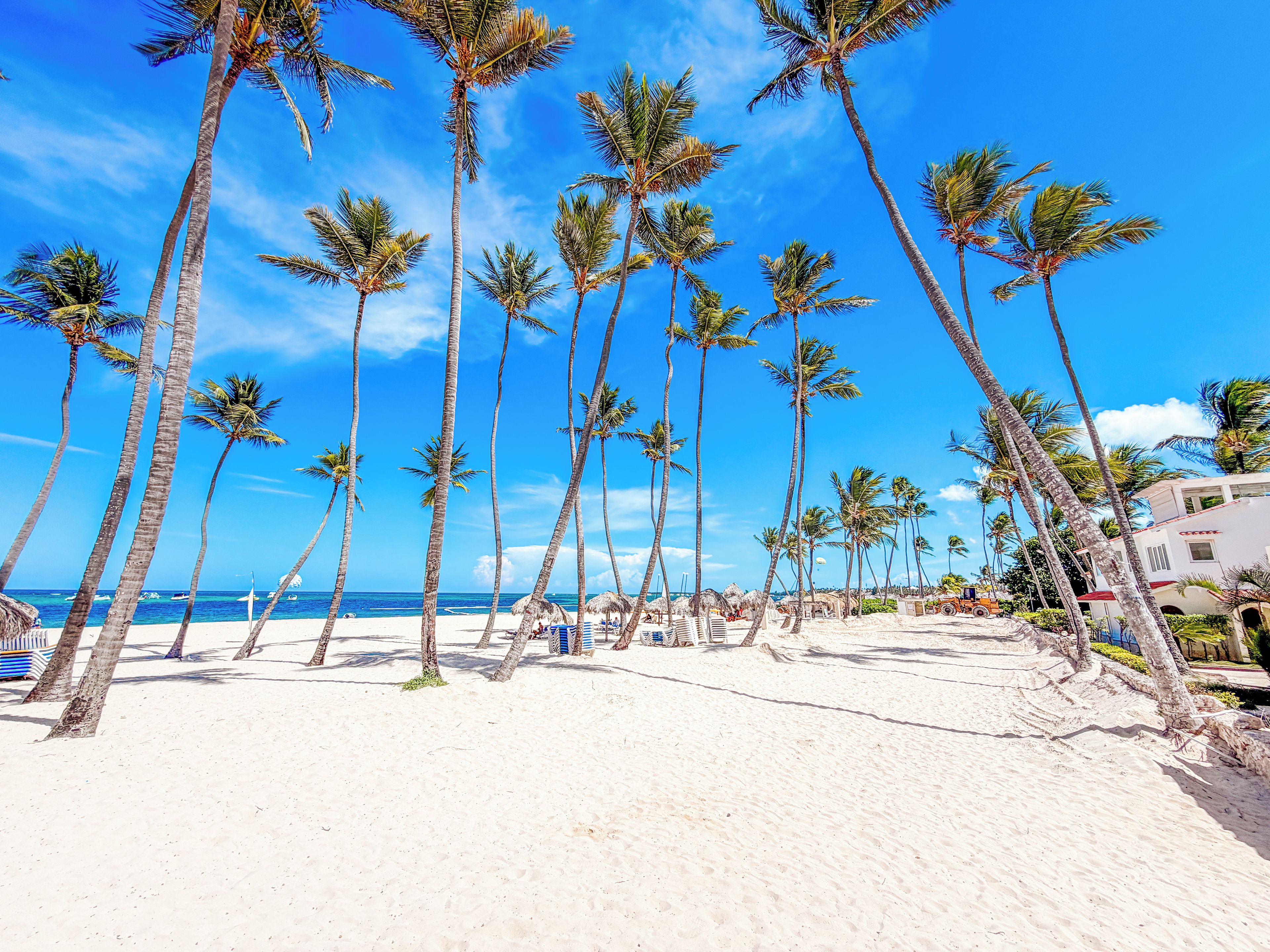 Une plage bordée de hauts palmiers, sous un ciel bleu et dégagé.