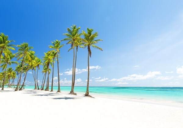 Tropical Adventure Studios Hotel & Spa - Punta Cana