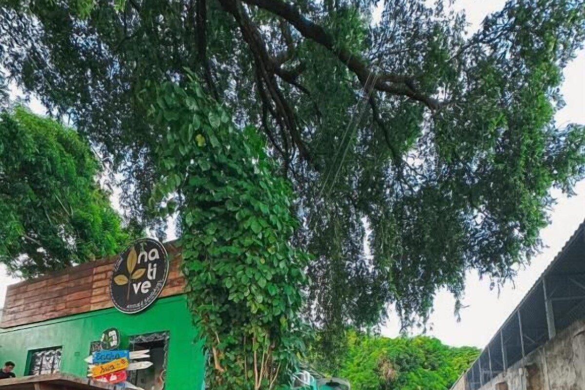 Uma viela estreita com um edifício verde à esquerda, um banco de madeira e um carro estacionado à direita.